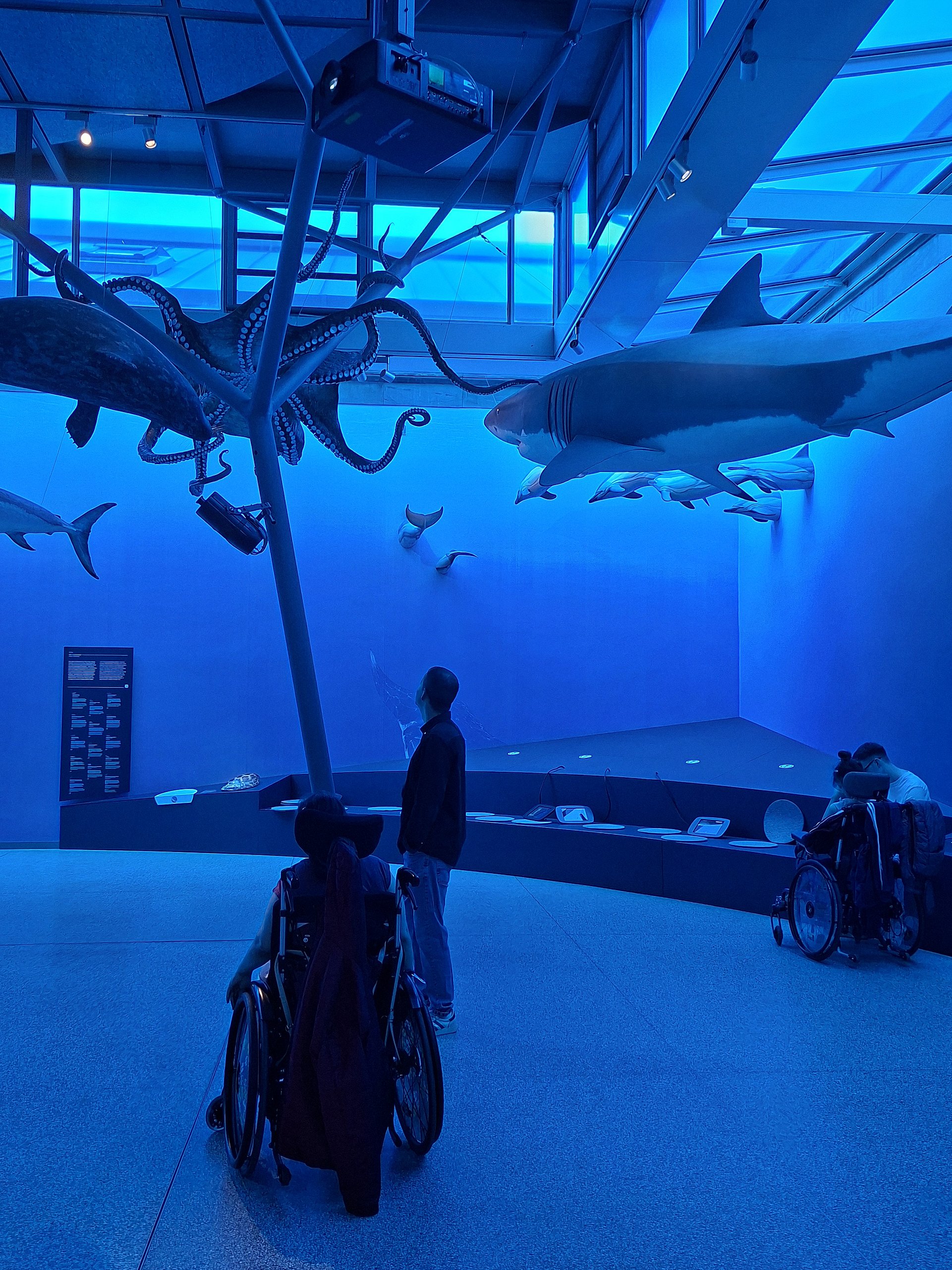 Aquarium-Ausstellung in kräftigem Blaulicht, von schräg hinten aufgenommen. Im oberen Bildbereich hängen lebensgroße Modelle von Meerestieren von der Decke: links ein großer Oktopus mit vielen ausgebreiteten Armen, rechts ein großer Hai, dahinter mehrere weitere Haie und Fische. Die Tiere wirken, als würden sie durch das Wasser schwimmen, alles ist in intensives Blau getaucht, was an eine Unterwasserszene erinnert. In der Mitte des Raums steht eine Person aufrecht, seitlich zum Bild gedreht, mit heller Hose und dunkler Jacke. Davor, im Vordergrund, befindet sich eine Person im Rollstuhl, von hinten zu sehen, mit einer langen Jacke oder Decke, die über die Rückenlehne hängt. Rechts weiter hinten ist eine weitere Person im Rollstuhl an einer Theke oder Ausstellungsvitrine. Entlang der rechten Wand verläuft ein langer, niedriger Ausstellungstresen mit eingelassenen runden Öffnungen oder Fenstern. Links an der Wand hängt ein rechteckiges Infobrett mit mehreren Zeilen, vermutlich Text oder Piktogramme, das im Blaulicht dunkel erscheint.
